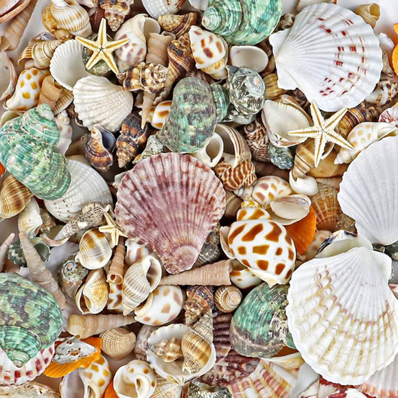 greenseashells